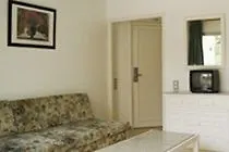 Corona Verde *